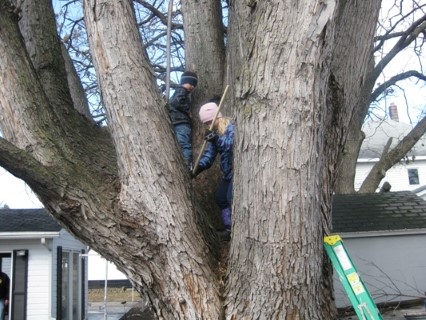 megan-and-nicholas-in-tree